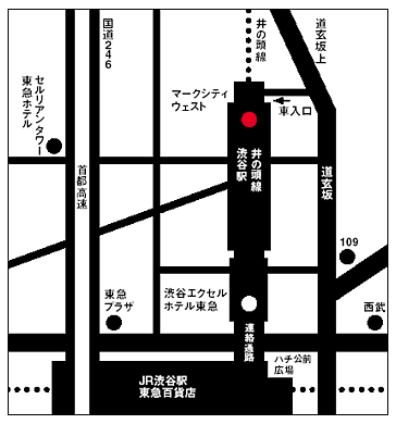 日本IBM イノベーションセンター　地図