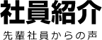 社員紹介 先輩社員からの声